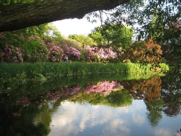 Annual Art Auction — Garden Venue